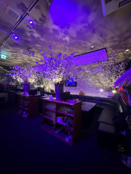 Pretty Madonna (プリティーマドンナ)