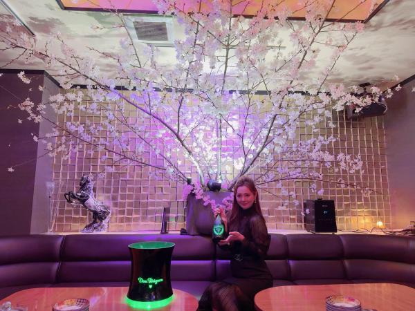 Pretty Madonna (プリティーマドンナ)