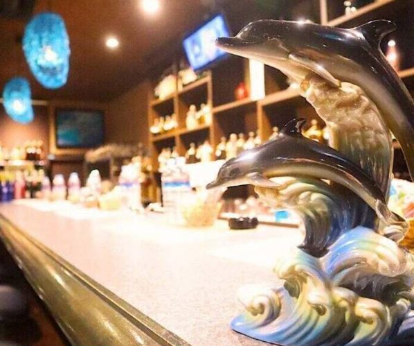 海豚　イルカ