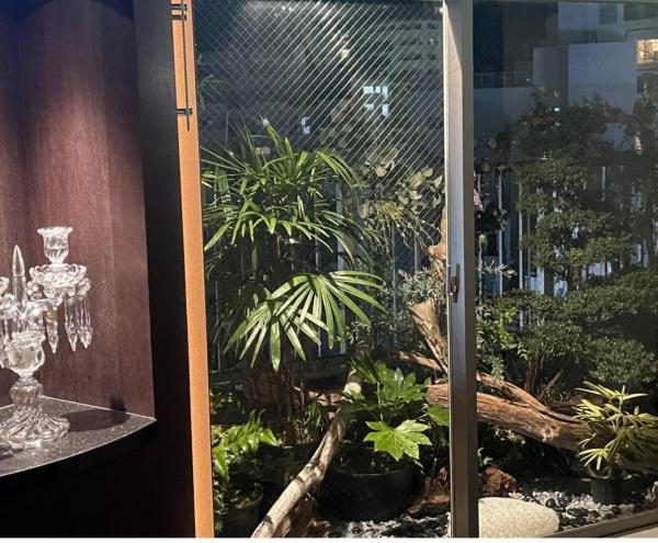 La Soiree (ラ ソワレ)